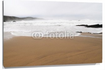 Lienzo Playa con niebla